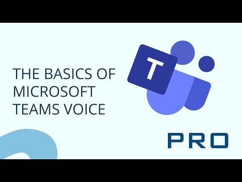 The Basics of Microsoft Teams